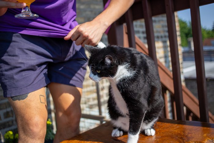Chomps & Iggy — pet photography by Adrian Luis Perez, Chicago